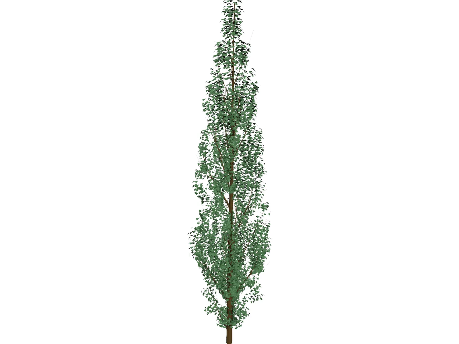 Pine Tree 3D Model