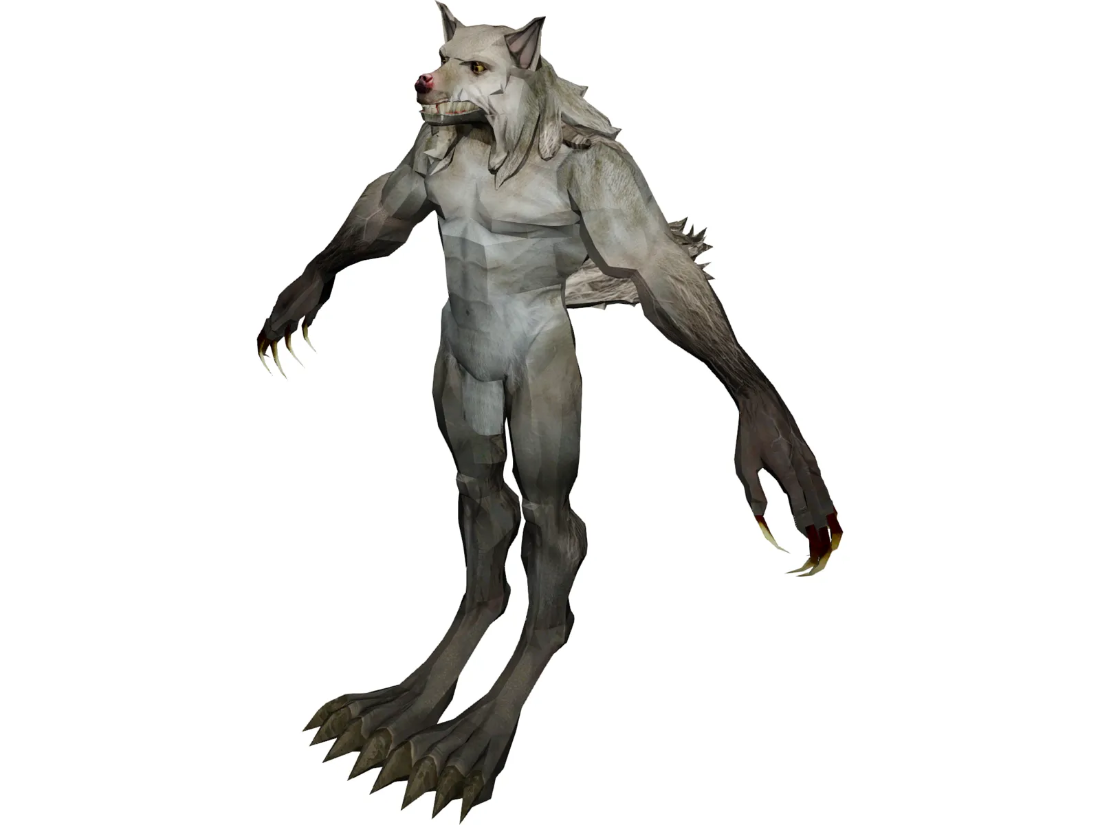 Werewolf 3D Model