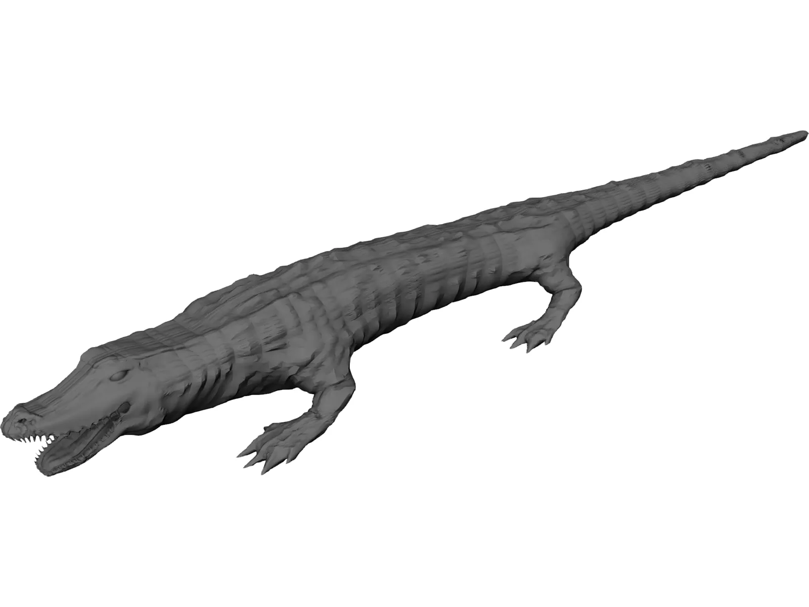 Crocodile 3D Model