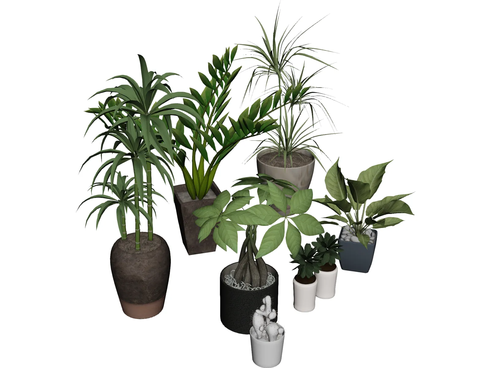 House Plant Collection 3D Model