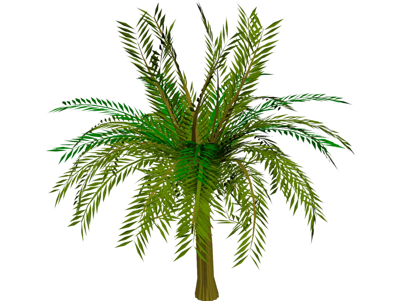 Palm Tree 3D Model