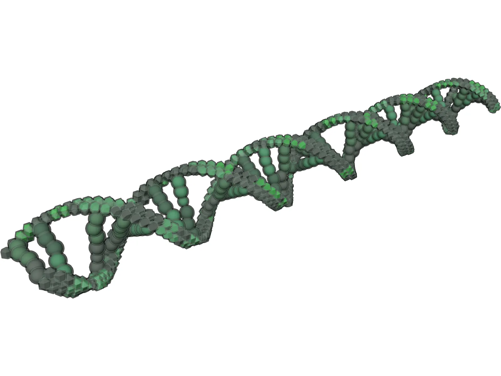 DNA 3D Model