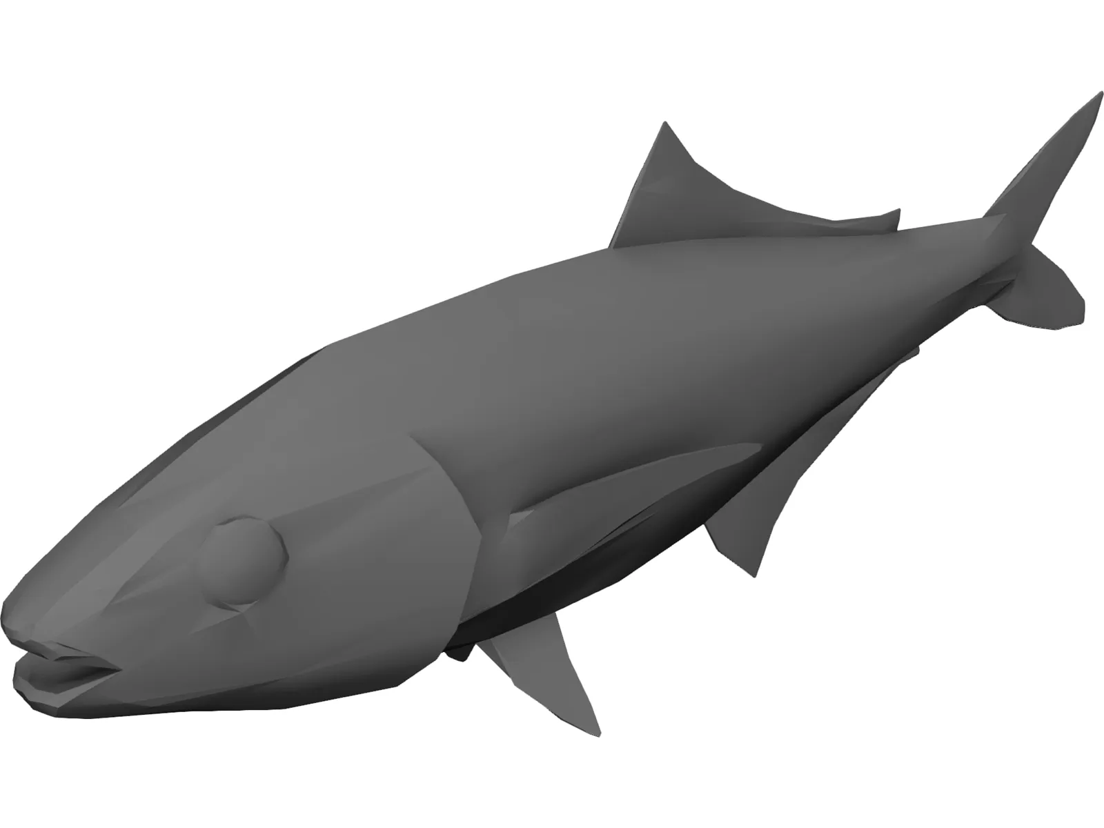 Full Fish 3D Model