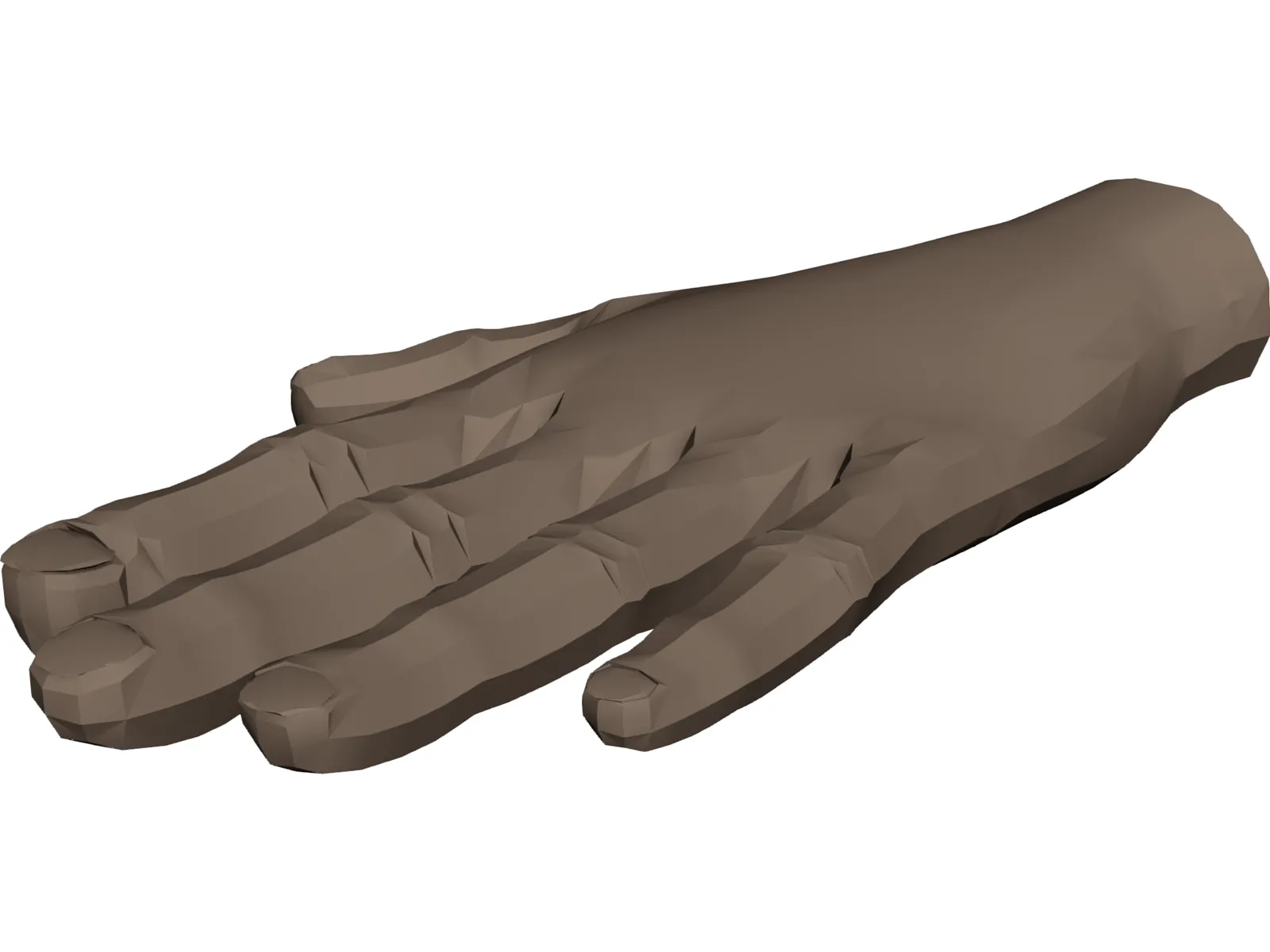 Hand 3D Model