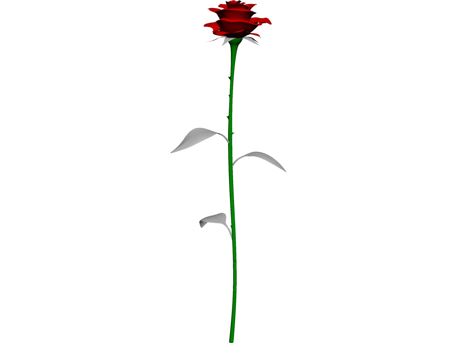 Rose 3D Model