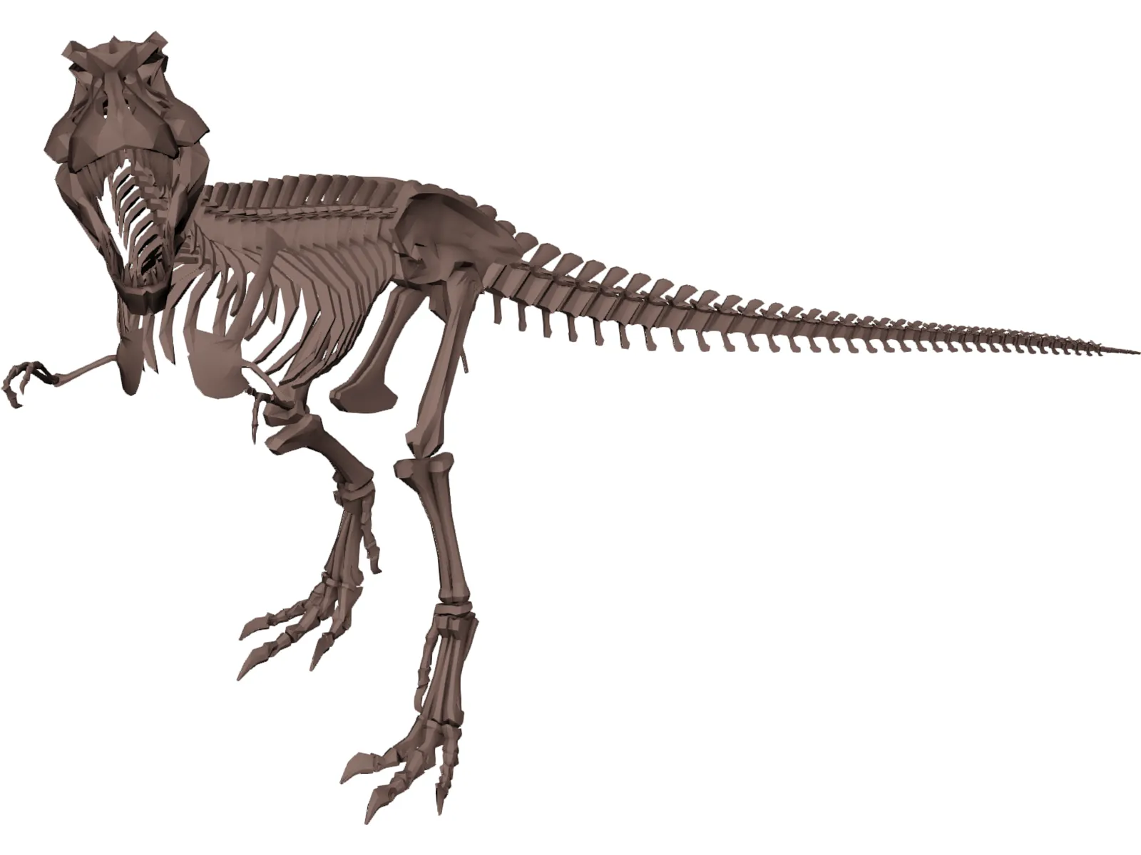 Dinosaur Skeleton 3D Model