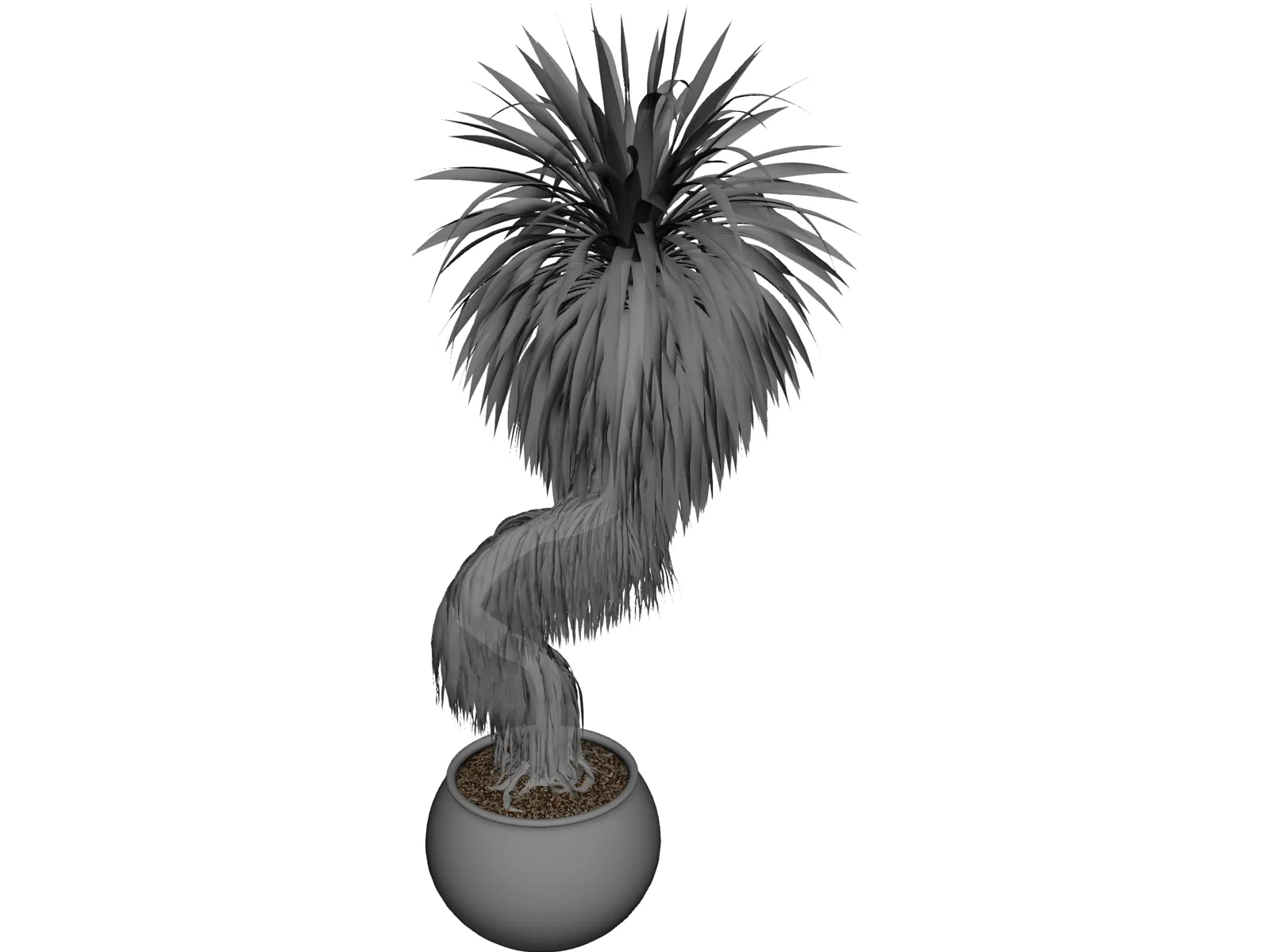 Bonsai Tree 3D Model