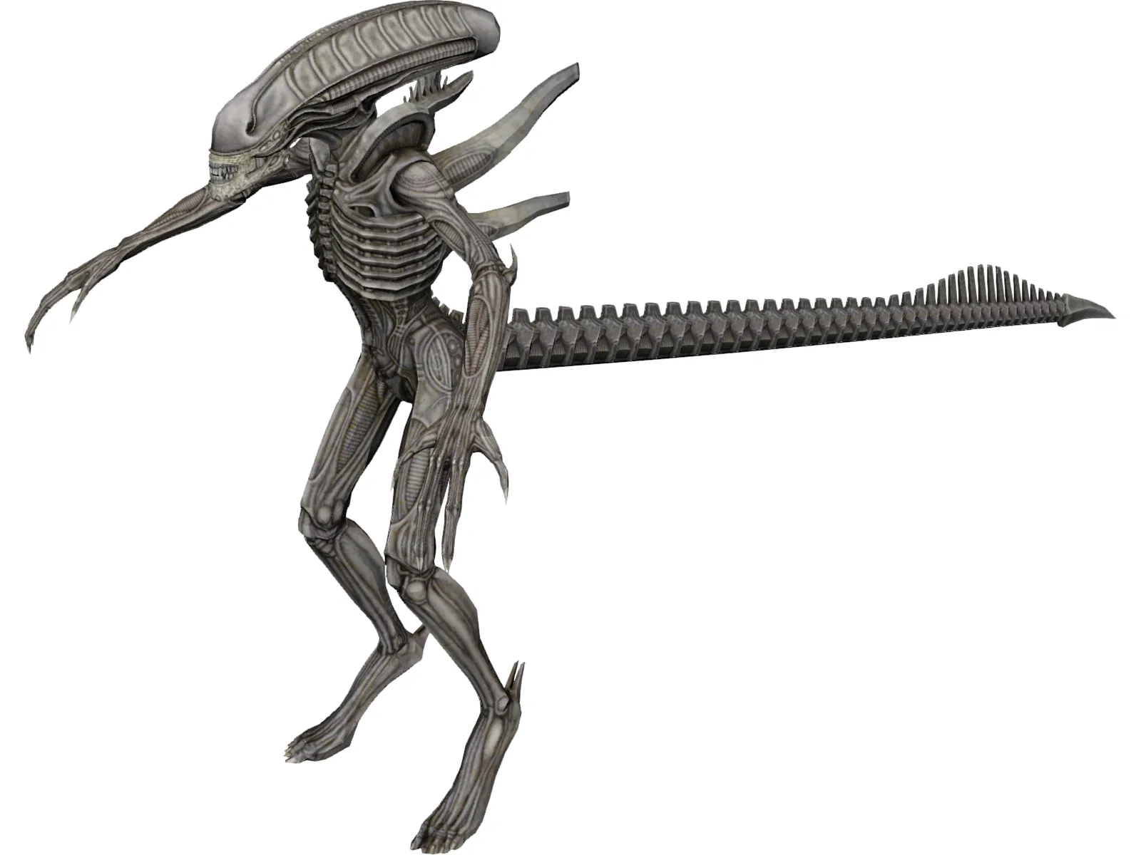 Alien Warrior 3D Model