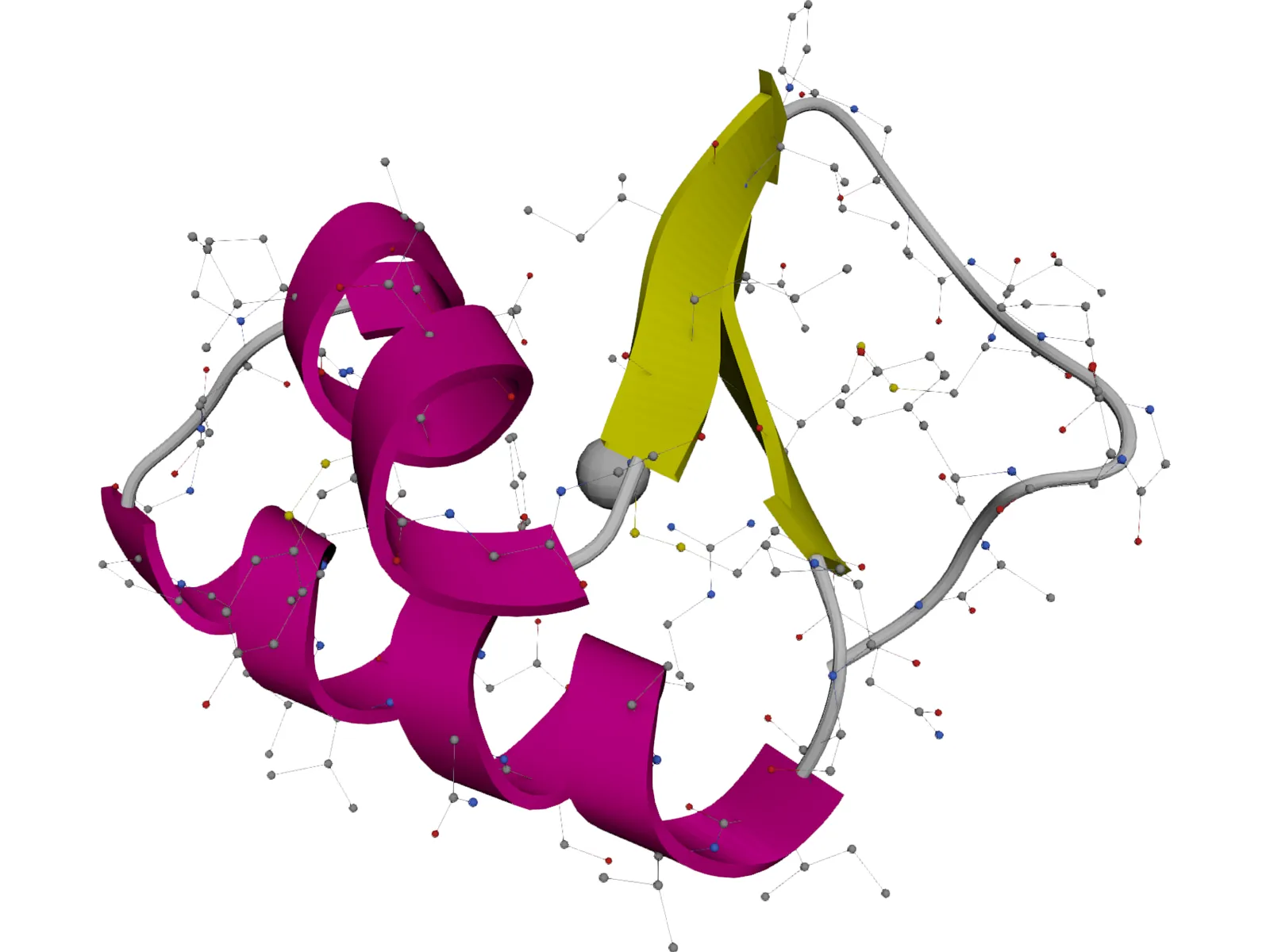 Protein Molecule 3D Model