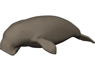 Dudongo 3D Model