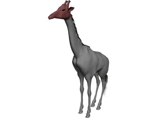 Giraffe 3D Model