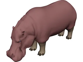 Hippopotamus 3D Model 3D Preview