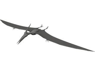 Pteranodon Ingens 3D Model