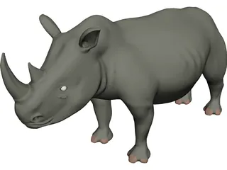 Rhinoceros 3D Model