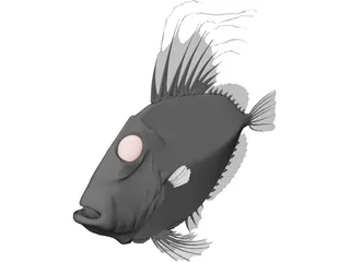 San Peters Fish 3D Model