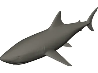Shark White Male 3D Model 3D Preview