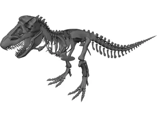 Tyrannosaurus Rex Skeleton 3D Model