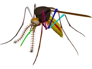 Mosquito 3D Model