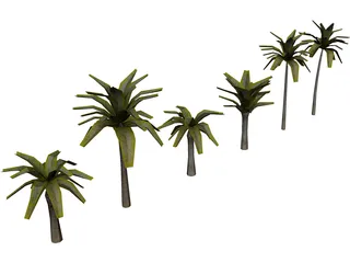 Palm Collection 3D Model