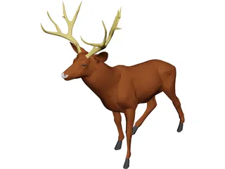 Deer Mule 3D Model 3D Preview