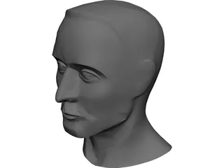 Head Male 3D Model