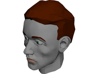 Face Muscles And Head 3D Model