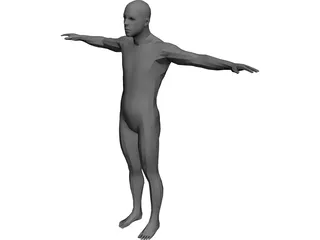 Human Body Male 3D Model 3D Preview