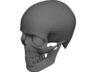 Skull CAD 3D Model