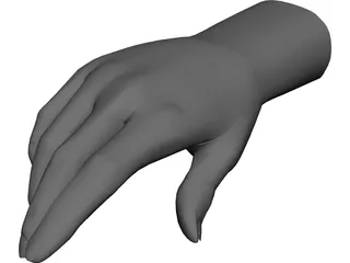 Hand Male 3D Model 3D Preview