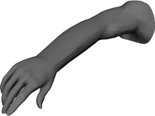Arm Male CAD 3D Model