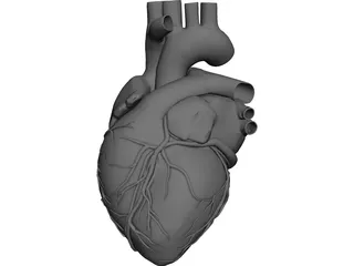 Heart CAD 3D Model