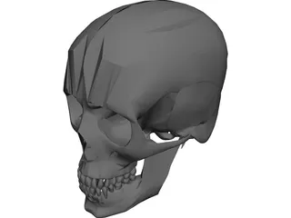 Skull CAD 3D Model
