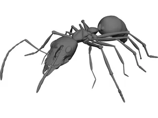 Ant CAD 3D Model