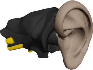 Ear 3D Model