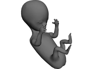 Baby Fetus Infant 3D Model