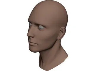 Head Male 3D Model