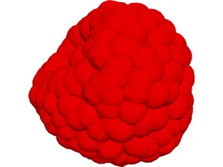 Raspberry 3D Model
