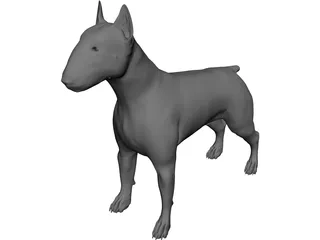 Dog Bull Terrier 3D Model 3D Preview