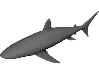 Shark 3D Model