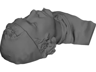 Face Human Digitalized 3D Model