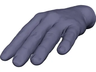 Hand Left 3D Model