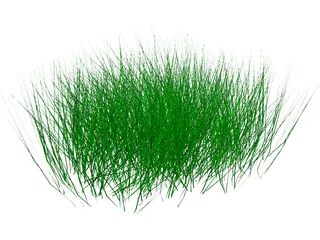 Grass 3D Model