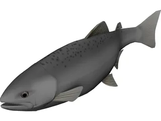 Happy Fish 3D Model