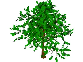 Baum Tree 3D Model