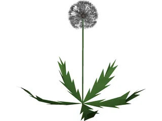 Dandelion 3D Model