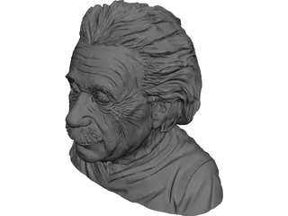 Albert Einstein 3D Model