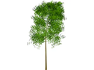 Tree 3D Model