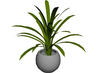 Plant in Pot 3D Model