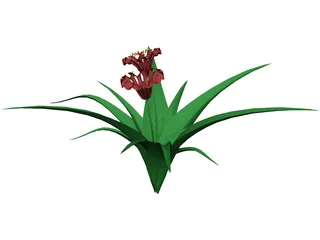 Flowers 3D Model