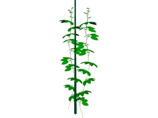 Plant 3D Model